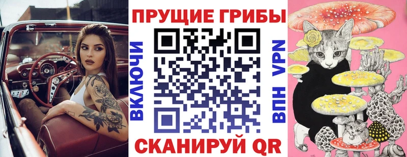 Галлюциногенные грибы мухоморы  omg зеркало  Хвалынск  купить закладку 